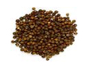 Black pepper — Fruit used in Samahan