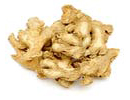 Ginger — Rhizome used in Samahan