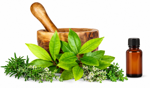 A wooden mortar and pestle with fresh bay leaves, rosemary and thyme, beside a bottle of herbal oil